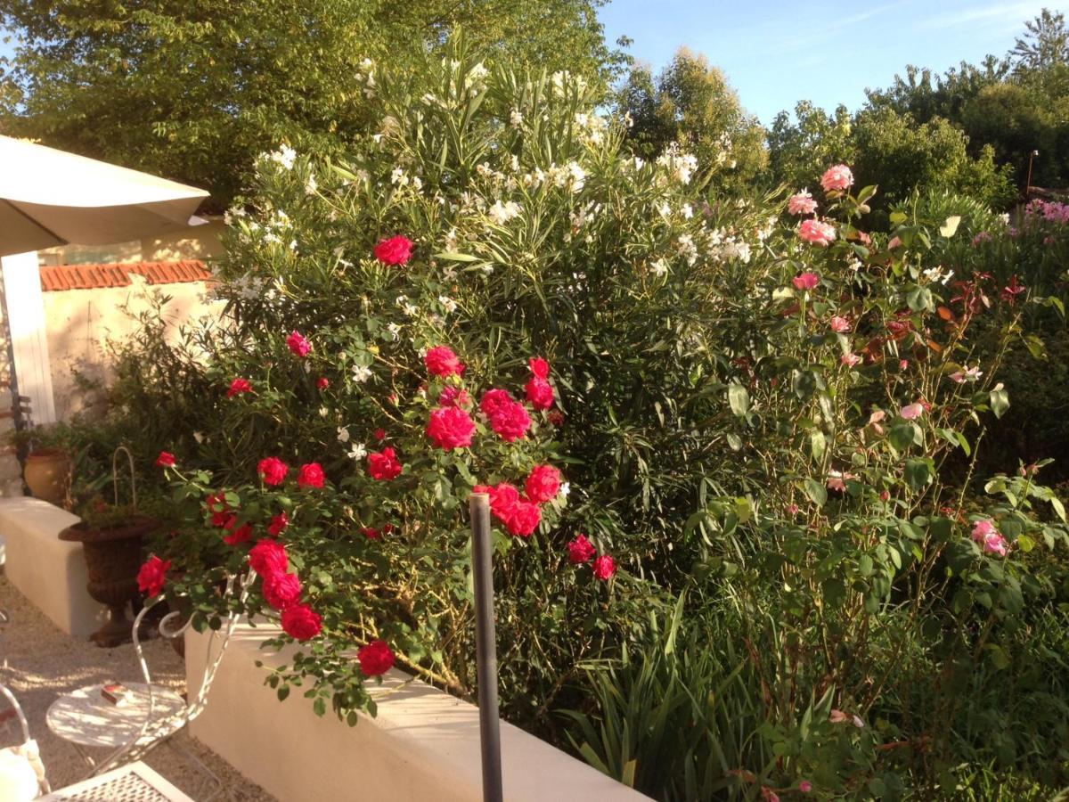 L'Ecrin Bed & Breakfast Villeneuve-sur-Lot Luaran gambar